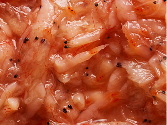 Bintulu Cincalok Shrimp Paste